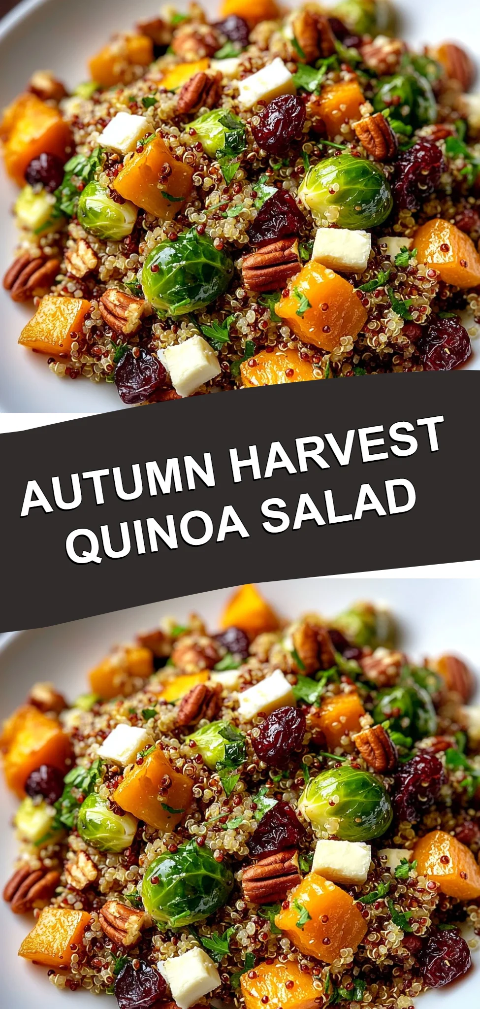 Autumn Harvest Quinoa Salad