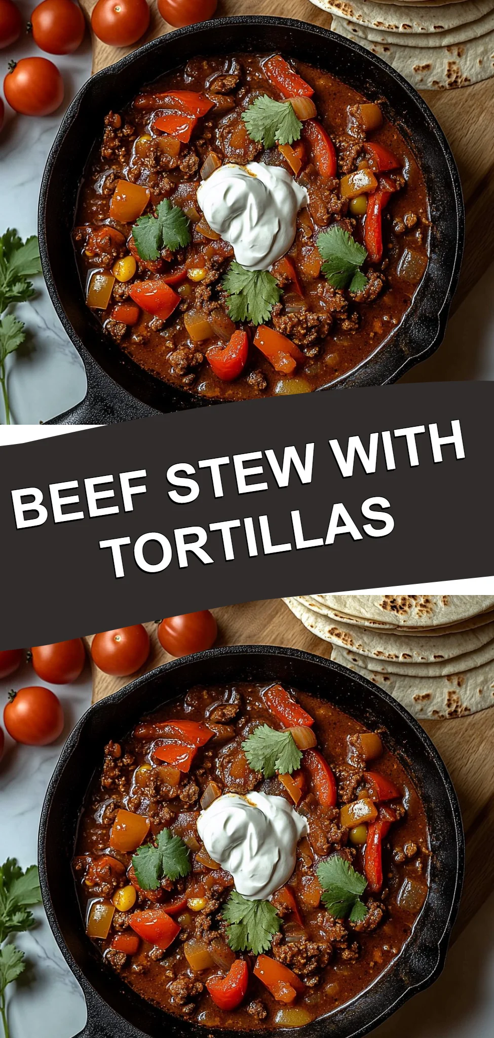 Beef Stew with Tortillas